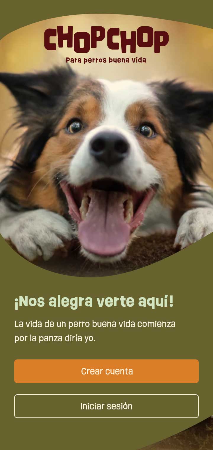iphone_14_pro